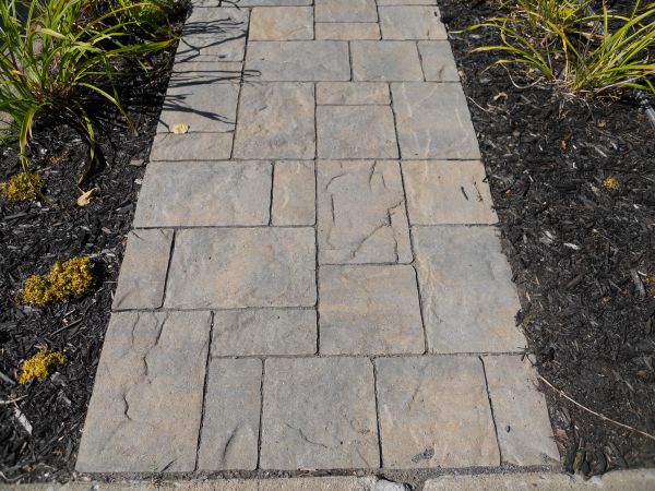 Stamped Concrete Staining in Norristown