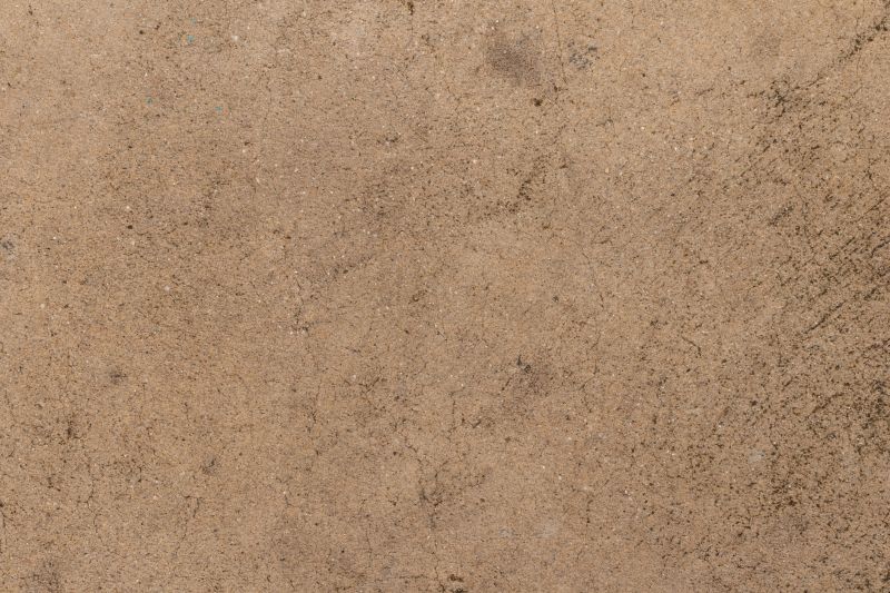 Outdoor Concrete Staining